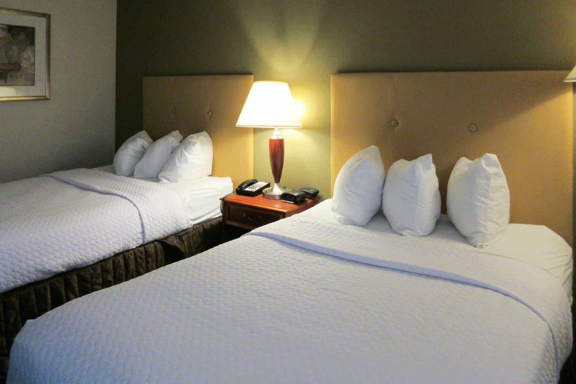 ควอลิตี้ โฮเต็ล คอนเฟอเรนซ์ เซ็นเตอร์ ซินซิแนตติ บลูแอช Hotel ภายนอก รูปภาพ